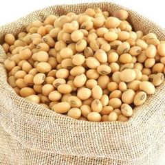Ghana Soya Beans – 99% Purity, 13% Moisture, High Protein - Image 2
